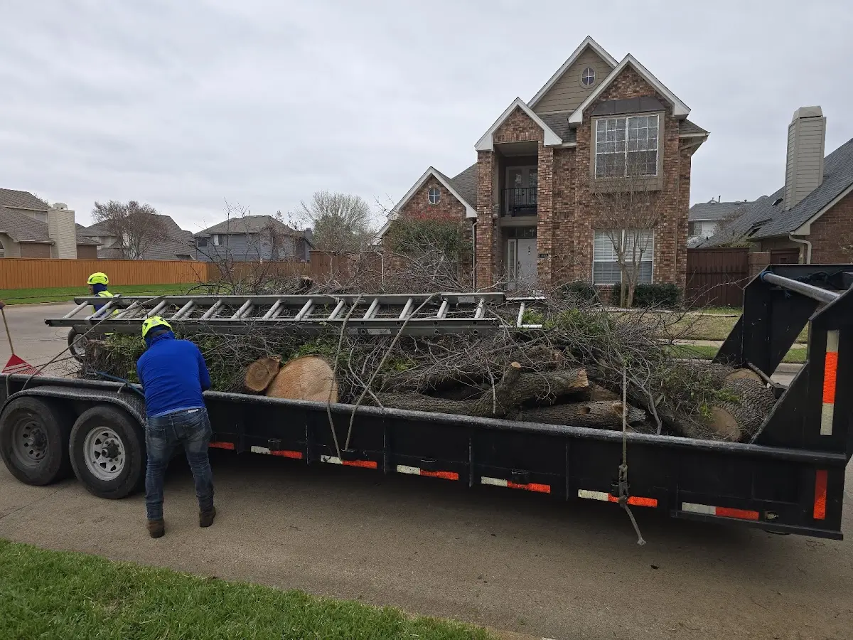 Expert Lot Clearing with proper safety equipment in Tye